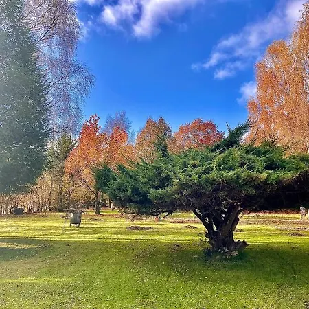 Maison Normande Sur Parc Arbore Ambiance Bucolique Vakantiehuis *