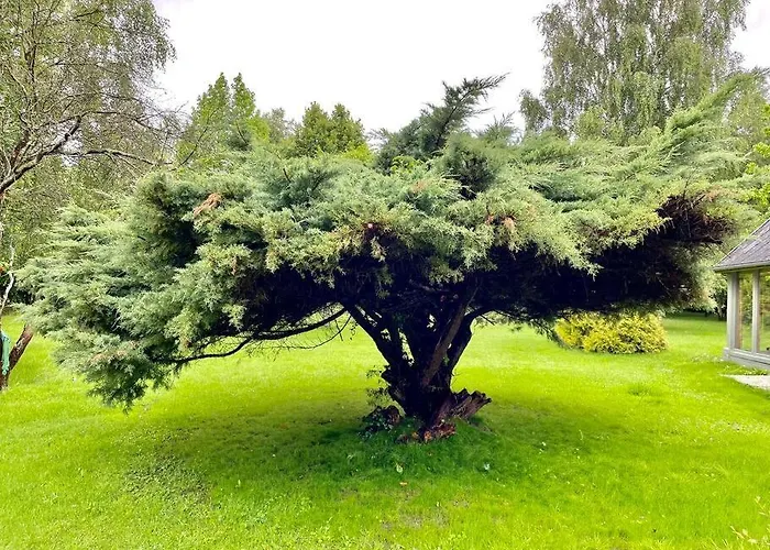 Maison Normande Sur Parc Arboré Ambiance Bucolique * La Gonfriere