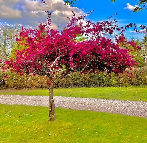 Maison Normande Sur Parc Arboré Ambiance Bucolique Сasa de vacaciones *